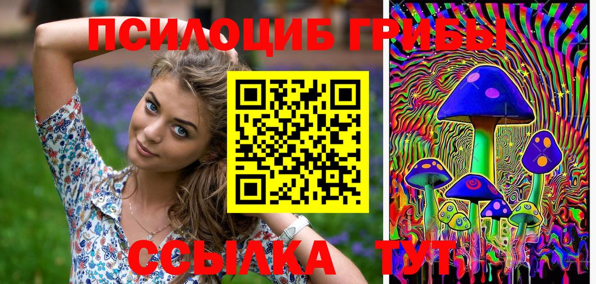 ЭКСТАЗИ  Зеленогорск  Где купить  Вход с VPN  Гашиш  МЕФ   Конопля  NBOMe 