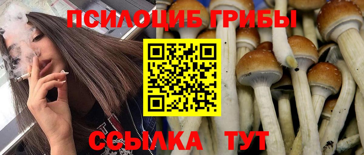 Псилоцибиновые грибы MAGIC MUSHROOMS Зеленогорск